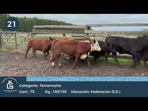 Lote M Y H - Federación ER