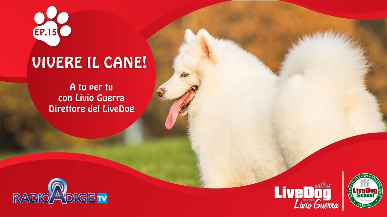 Descrizione dell'immagine