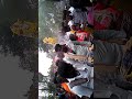 Velautham Karakatam Cdm