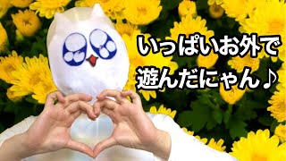 ペドにゃん動画つめあわせにゃん♡