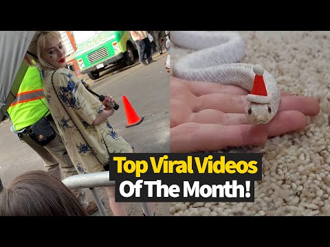 Top 30 Viral Videos Of The Month