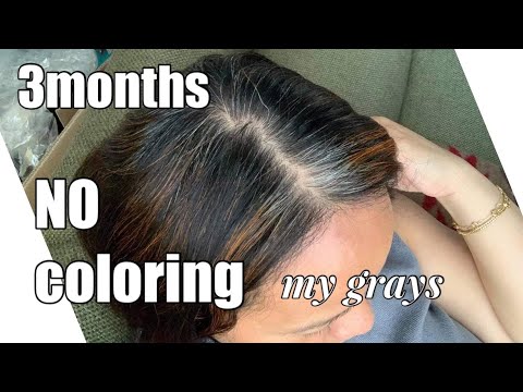 Growing my gray | 3months with no coloring| kiuka vlogs