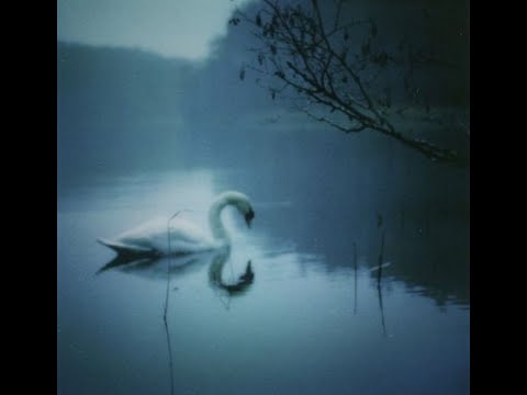 [free for profit] xavier wulf x bones type beat - "Futureville"