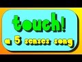 5 senses song- your sense of touch! 