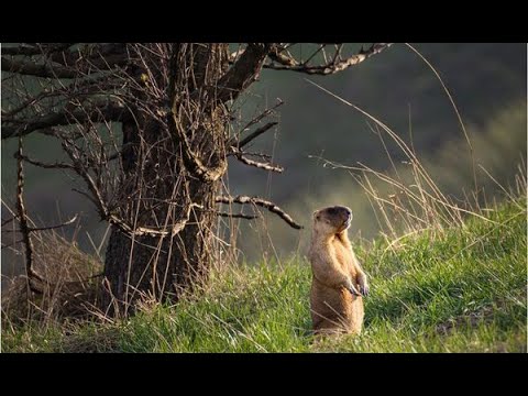 4 Fridays Until Spring — Volodymyr Voyt