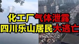 化工厂气体泄露 四川乐山居民大逃亡【时事追踪】