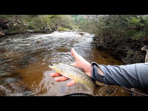 Fly fishing a new stream - Jacobs River