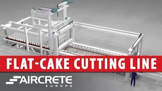 Aircrete - Flat Cake Cutting Line - AAC Plant HD