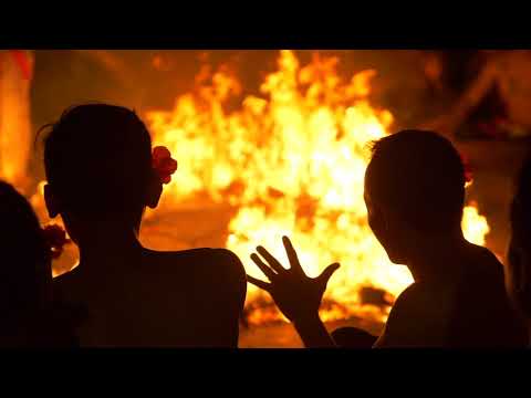 AxelPolo & Ryan Raya - Cobra (Night Shift Master Remix)