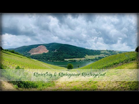 Rheinsteig & Rheingauer Rieslingpfad