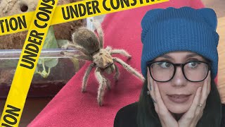 EXPOSING.. myself! FINALLY FIXING my most OUTDATED Enclosures