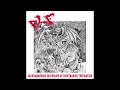 P L F Jackhammering Deathblow Of Nightmarish Trepidation LP 2018 Full Album Grindcore