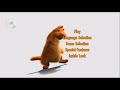 Opening To Garfield 2004 Dvd