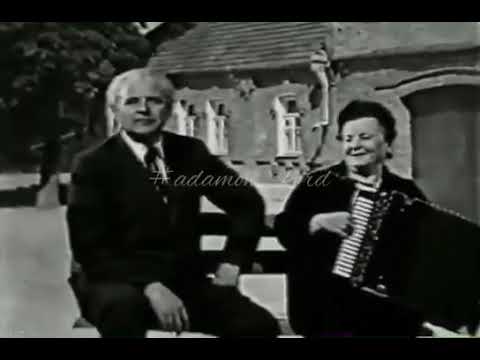 🎶 Владимир Баллаев и Серафима Икаева