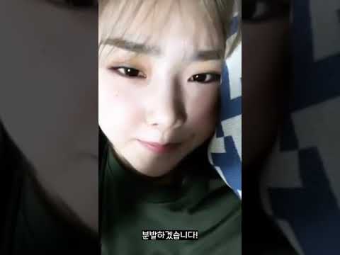 아이콘