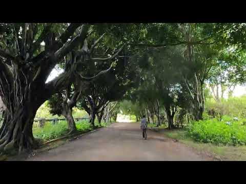 Jinotepe Carazo, Nicaragua.