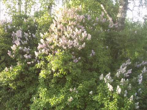 Agroturystyka, pokoje gościnne w Łosieniu - woj. świętokrzyskie