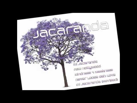 New Hollywood - Badda Skat - Jacaranda EP