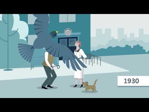 HSB Skåne - Gemensamma ytor