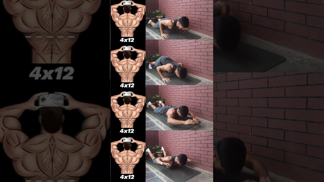 No Equipment Back Workout 💪 | 4x12 Bodyweight Only! #shorts