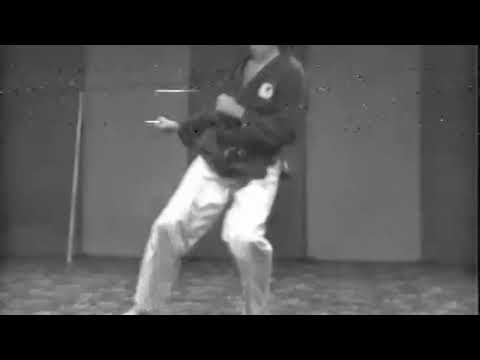 Kick Combinations: Front Kick, Flying Side Thrust kick to side – Sensei Robert Cusumano