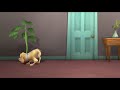 Twisted Whiskers Clip The Goosers Bathroom Saga The Plant One HELP ME GOD