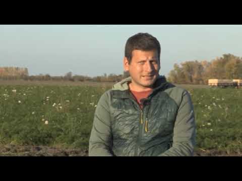 Može bolje ep.40 11.11.2017. - Proizvodnja i ubiranje mrkve