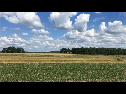 Follow the Footsteps: Iverson's Attack on Oak Ridge at Gettysburg