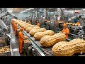 Inside A Planters Style Roasting Factory The Perfect Salted Crunch Full Peanut Processing ASMR
