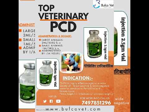 Ascorbic acid injection, 250 mg, 50 ml