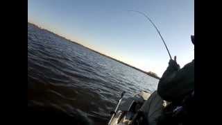 preview picture of video 'Good trout catch at vermillion bay'