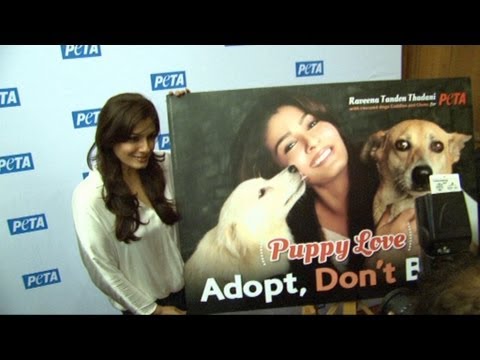 Raveena Tandon Launch Peta Dog Adoption Campaign