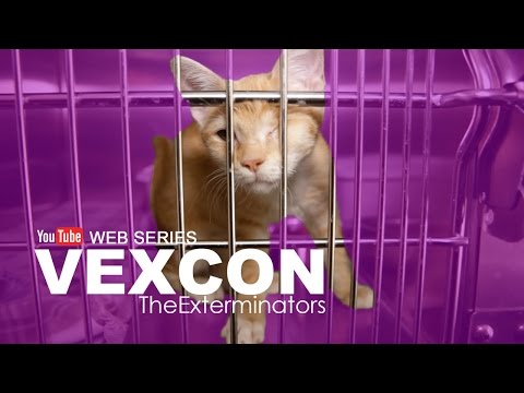 Vexcon The Exterminators - Web Series (Episode 5: Cats)
