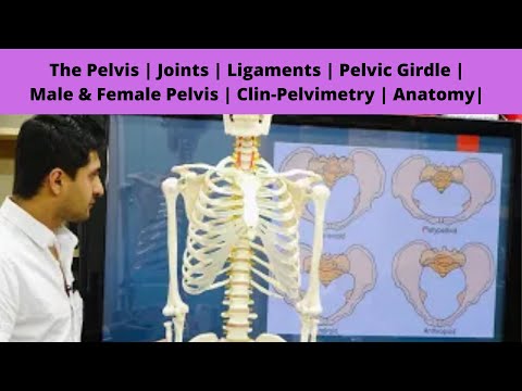 The Pelvis | Joints | Ligaments | Pelvic Girdle | Male & Female Pelvis | Clin-Pelvimetry | Anatomy