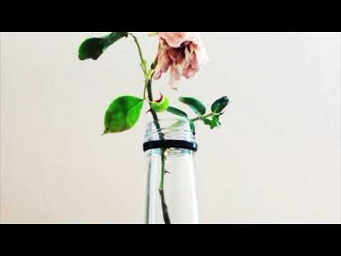 Roseland En Why Cee - The Fall