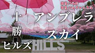 【観光地】アンブレラスカイとは？十勝ヒルズに行ってきた