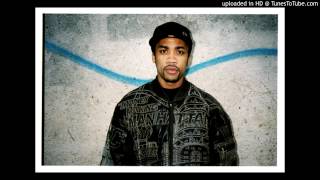 Wiley - I&#39;m Skanking (The 2 Bears Remix)