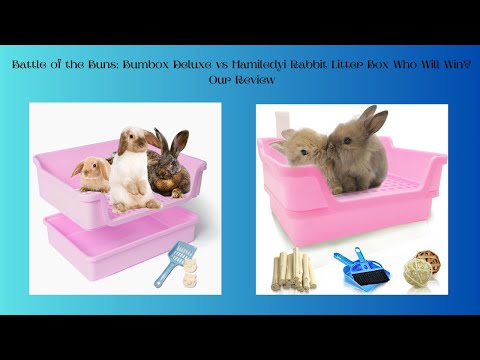 Battle of the Buns: Bumbox Deluxe vs Hamiledyi Rabbit Litter Box