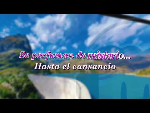 ESTHER MARISOL - HASTA EL CANSANCIO (KARAOKE)