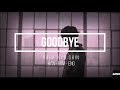 박효신 (Park Hyo Shin) - Goodbye HAN ROM ENG LYRICS