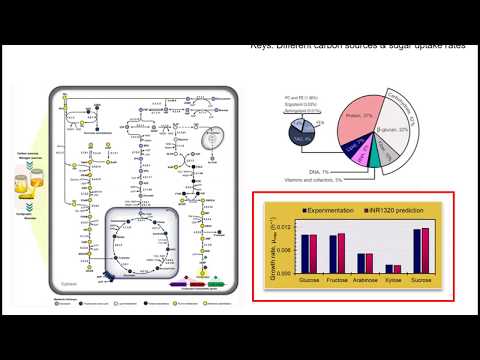 Genome-scale metabolic model for Rational Design by Nachon Raethong - Part II