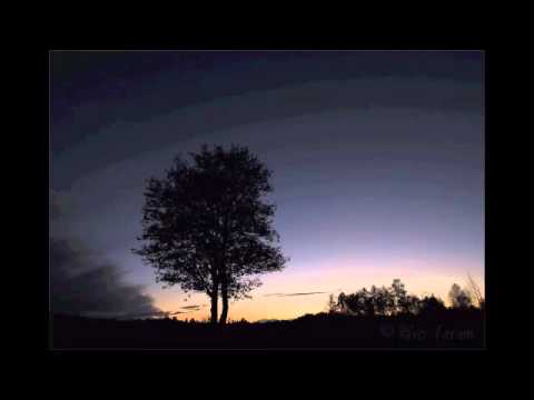 Tõnu Tepandi - Mängumees