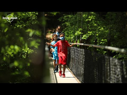 Covid-19期間的徒步旅行：如何安全地探索偉大的戶外活動。 (Hiking during Covid-19: how to explore the great outdoors safely)