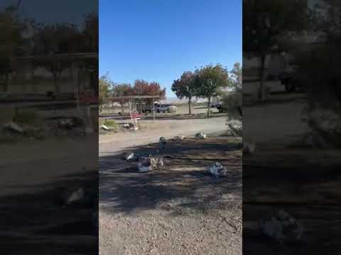 entrance was well marked and easy to navigate