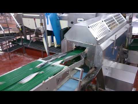 Peleuse sur ligne VMK