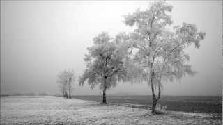 Agalloch - Into the Painted Grey (subtitulada en español)