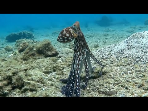 The Nature of God (Sermon Only) Pastor Mark Ferrell