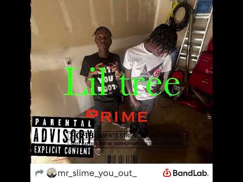 Prime (lil  tree 🌲)