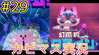 【星のカービィディスカバリー part２９】ソウルを集めレオンガルフを助け出せ！【実況プレイ】