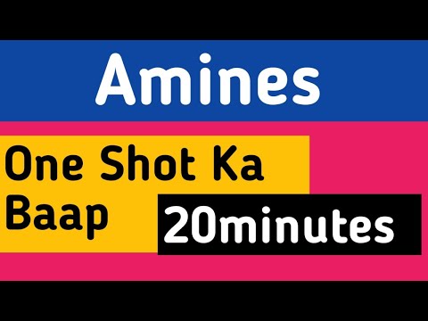 Amines Class 12 in 20Minutes | One shot | CBSE | NCERT | #cbseclass12 #amine #chemistry